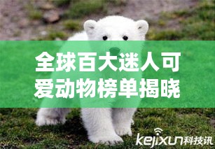 全球百大迷人可爱动物榜单揭晓！