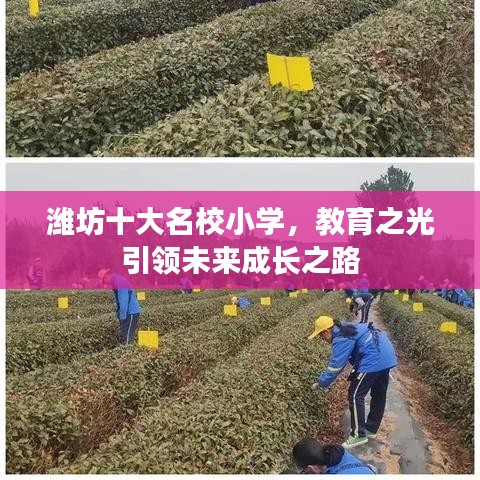轻徙鸟举 第2页
