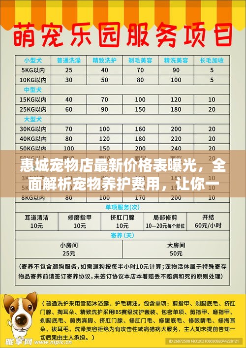 惠城宠物店最新价格表曝光，全面解析宠物养护费用，让你一目了然！
