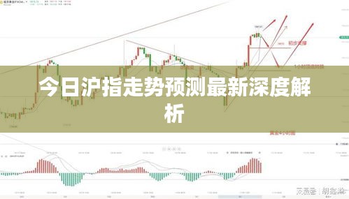 今日沪指走势预测最新深度解析