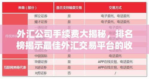 外汇公司手续费大揭秘，排名榜揭示最佳外汇交易平台的收费内幕