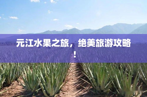 元江水果之旅，绝美旅游攻略！