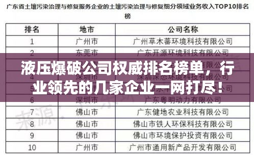 笨鸟先飞 第2页