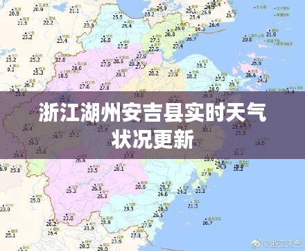 虫言鸟迹 第2页