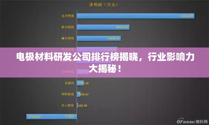 电极材料研发公司排行榜揭晓，行业影响力大揭秘！