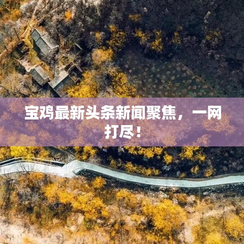 宝鸡最新头条新闻聚焦，一网打尽！