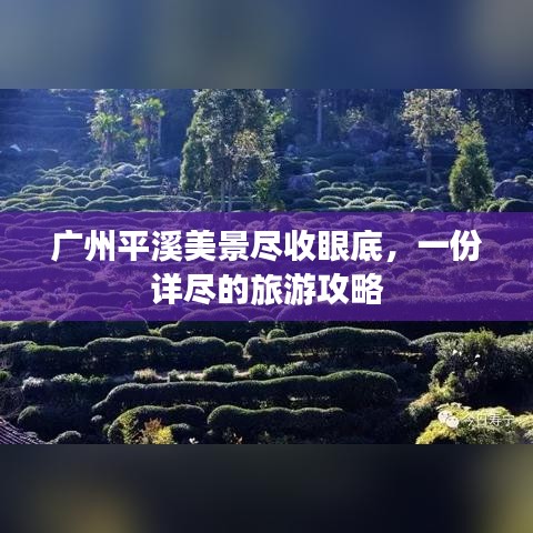 粗制滥造 第2页