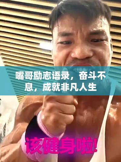 嘴哥励志语录，奋斗不息，成就非凡人生
