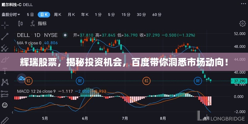 辉瑞股票，揭秘投资机会，百度带你洞悉市场动向！
