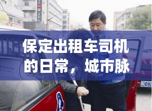 保定出租车司机的日常，城市脉动与温暖故事