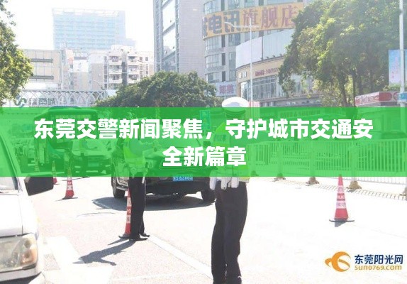 东莞交警新闻聚焦，守护城市交通安全新篇章