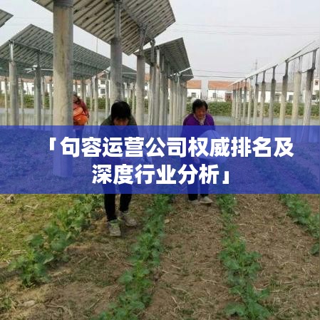 「句容运营公司权威排名及深度行业分析」
