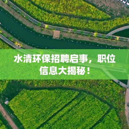 水清环保招聘启事，职位信息大揭秘！