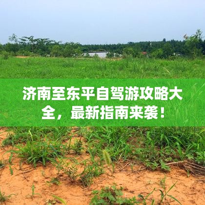 济南至东平自驾游攻略大全，最新指南来袭！