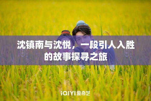 沈镇南与沈悦，一段引人入胜的故事探寻之旅