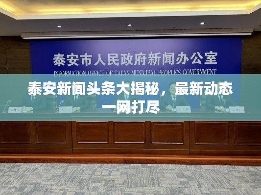 泰安新闻头条大揭秘，最新动态一网打尽