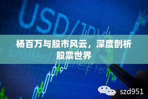 杨百万与股市风云，深度剖析股票世界