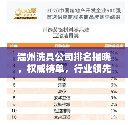 温州洗具公司排名揭晓，权威榜单，行业领先的清洗巨头！