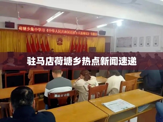 驻马店荷塘乡热点新闻速递