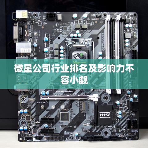 微星公司行业排名及影响力不容小觑