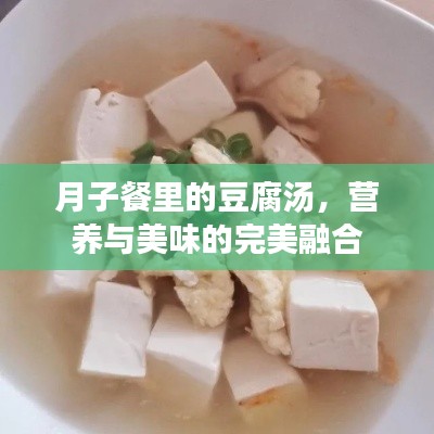 月子餐里的豆腐汤，营养与美味的完美融合