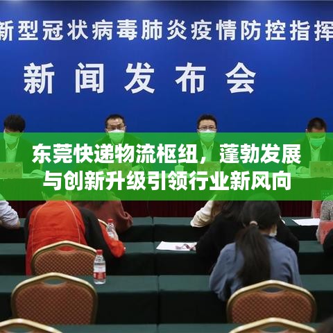 东莞快递物流枢纽，蓬勃发展与创新升级引领行业新风向