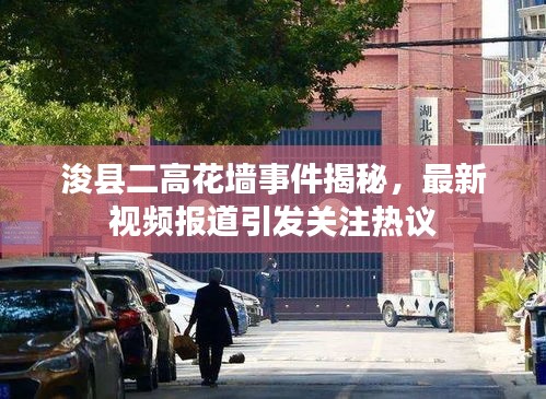 浚县二高花墙事件揭秘，最新视频报道引发关注热议