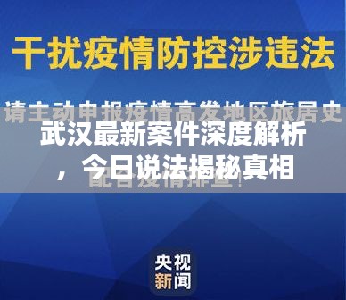 武汉最新案件深度解析，今日说法揭秘真相