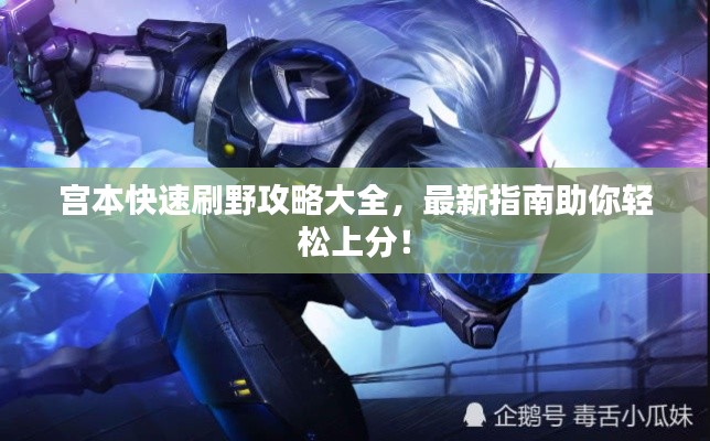 宫本快速刷野攻略大全，最新指南助你轻松上分！