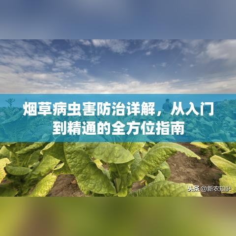 烟草病虫害防治详解，从入门到精通的全方位指南