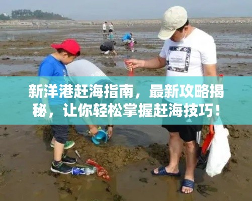 新洋港赶海指南，最新攻略揭秘，让你轻松掌握赶海技巧！