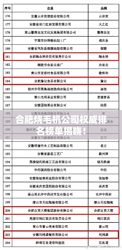 合肥烧毛机公司权威排名榜单揭晓！