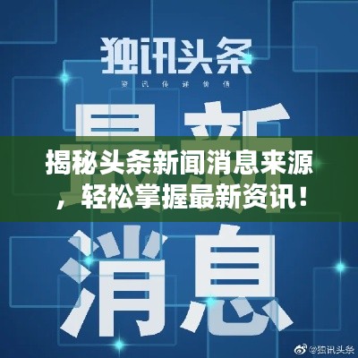 2025年5月5日 第5页