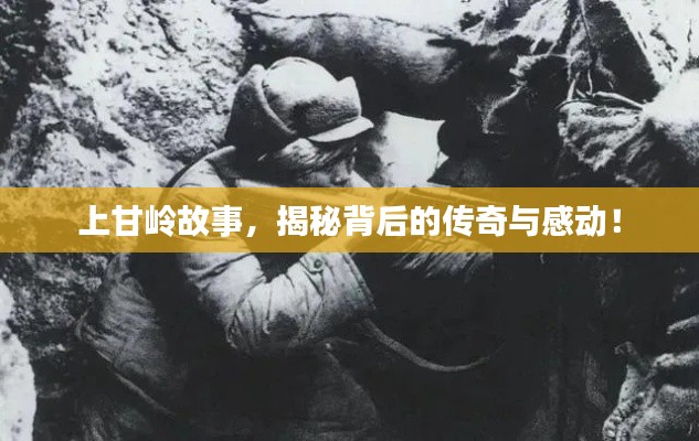 腾龙换鸟