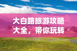 2025年5月8日