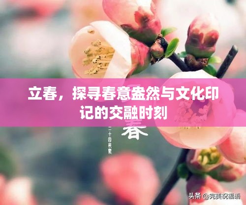 2025年5月9日 第3页