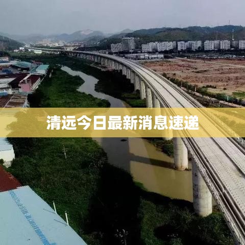 购物车 第11页