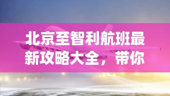 自由自在
