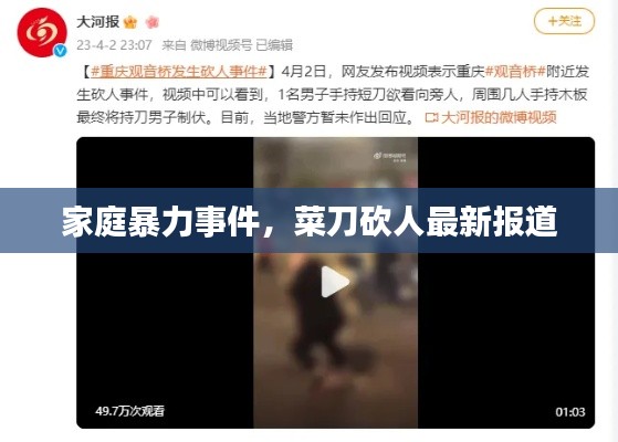 虫言鸟迹