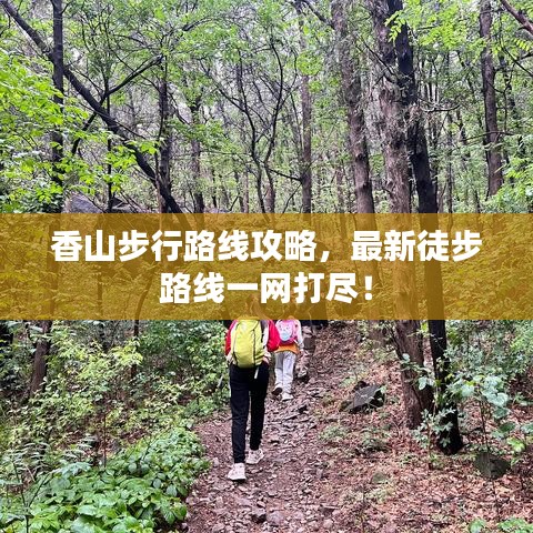飞珠迸玉