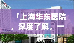投影仪 第6页