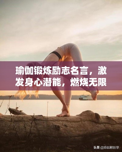 资料下载 第5页