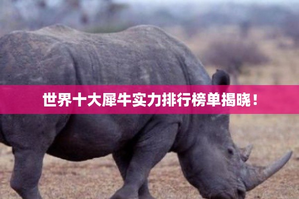 办公设备 第5页