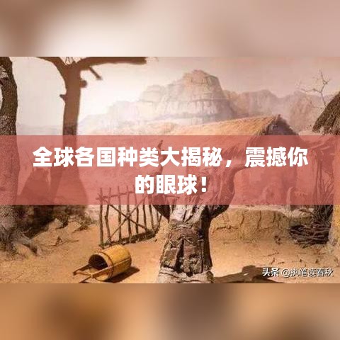全球各国种类大揭秘，震撼你的眼球！