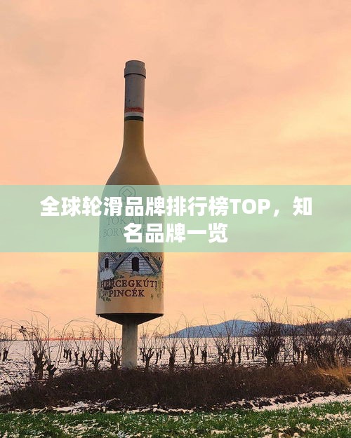 全球轮滑品牌排行榜TOP，知名品牌一览