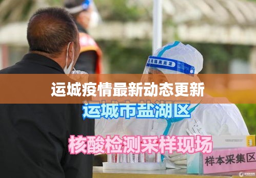 眉清目秀