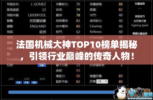 法国机械大神TOP10榜单揭秘，引领行业巅峰的传奇人物！