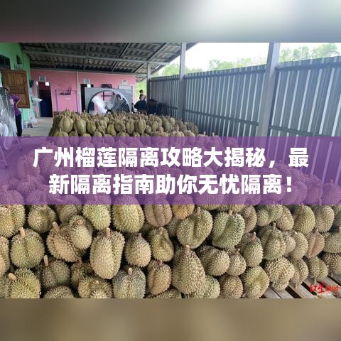 广州榴莲隔离攻略大揭秘，最新隔离指南助你无忧隔离！