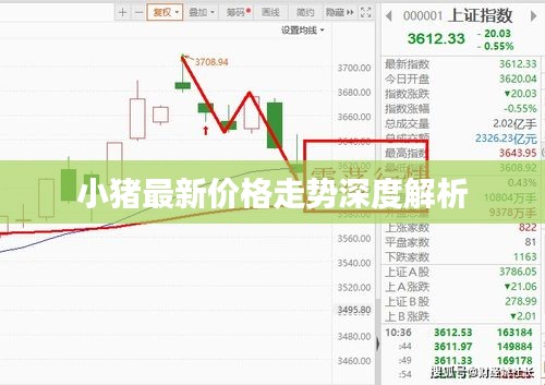 小猪最新价格走势深度解析