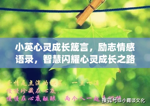 小英心灵成长箴言，励志情感语录，智慧闪耀心灵成长之路